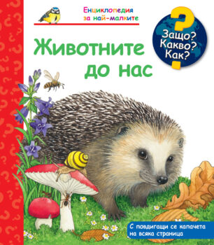 3276
