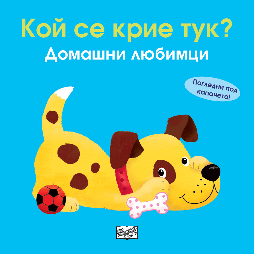 koj-se-krie-domashni-lyubimtsi