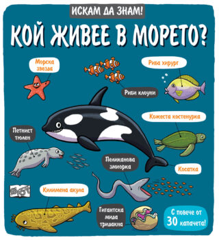 koj-zhivee-v-moreto