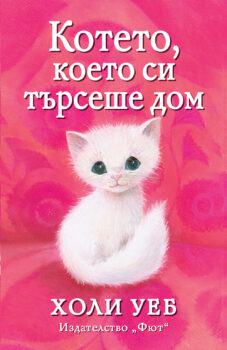 koteto-koeto-si-tyrseshe-dom