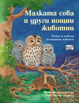 malkata-sova