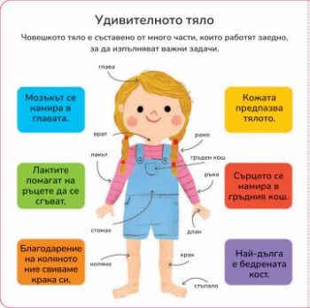 4eda32f25560fb849534fd6d340f5c42_360x0f_my-body_korica