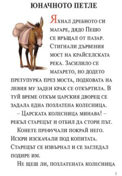 85e9399ad571f07a06515afe0c22edb3_360x0f_cover_ynschnopetle_2020-copy
