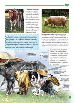 af9c6ee9a09e2f0e24e732266e42c31b_360x0f_firstanimals_cover-copy