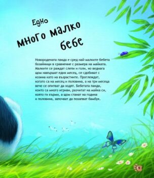 effcf687ff814267367e9d075cbe8e37_360x0f_bebeta_jivotni