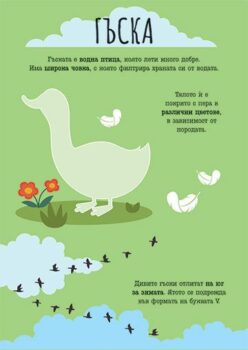 22477ecaac5e8626baa18136b72cd7a9_360x0f_the-farm_book-cover_bg-1