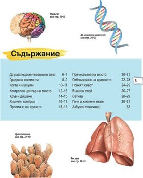 35bbeccff2c6d22ad90b79d693a6369b_360x0f_book_human_body-1-copy