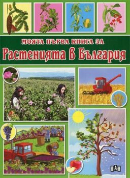 44b765cf4b5d66f9760bb398b47b337e_360x0f_rasteniya-copy