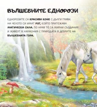 4257a60ca60a8fb8bdb79fb34789de77_360x0f_1