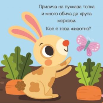 8d4c0f0e6a492a2b9cac519f748286d9_360x0f_1
