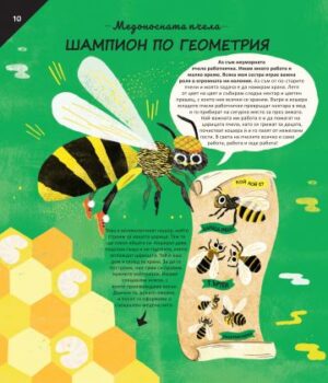 74d370e27b8c1521953bbab5d621429c_360x0f_jivotni_stroiteli
