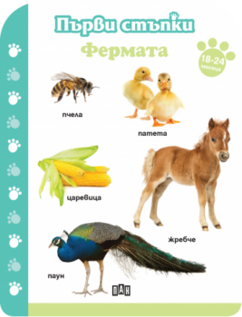 8c7a658172200184c75fa3dbdd139b21_360x0f_fermata_18-24m