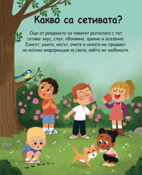 c44b2c14b788a0cfc2a157a833678a82_360x0f_pette_setiva