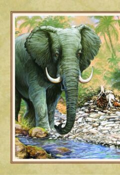 92bce726aa375c918e714d17bda187c7_360x0f_kniga_za_djunglata_cvetna