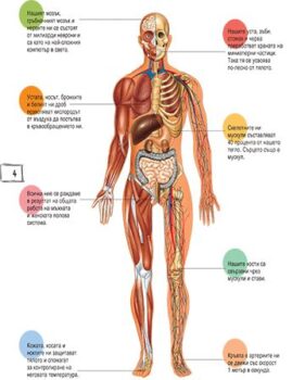 35bbeccff2c6d22ad90b79d693a6369b_360x0f_book_human_body-1-copy