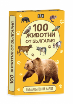 bb5e7a865df6ed90c2811895b1813df6_360x0f_karti_cover2