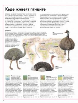 6da57b02efd843e96b05f96a9ad1041a_360x0f_atlas_na_pticite