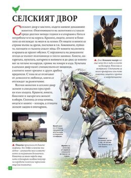 af9c6ee9a09e2f0e24e732266e42c31b_360x0f_firstanimals_cover-copy