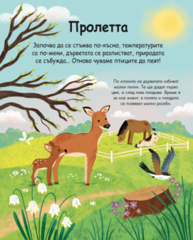 e51620860a66c228f728ecfae13771a8_360x0f_sezonite