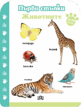 d636338950ee7038a5fbc9545066c893_360x0f_jivotnite_18-24m-copy