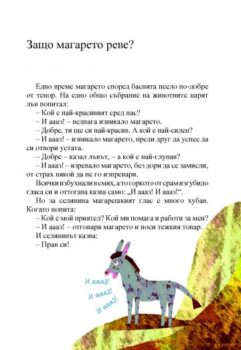 98c5b7a617bd4eaca62991b65efe4203_360x0f_sto_zashto