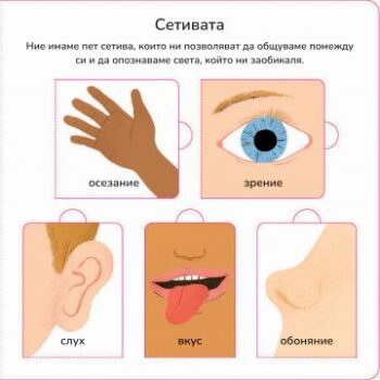 4eda32f25560fb849534fd6d340f5c42_360x0f_my-body_korica