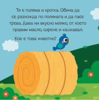 8d4c0f0e6a492a2b9cac519f748286d9_360x0f_1