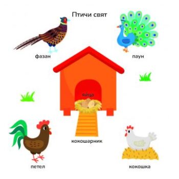 5eb08f356791111a6172e56cdcd7e8c0_360x0f_100_dumi_fermata