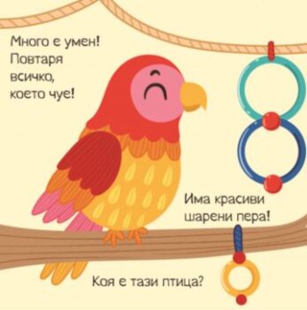 c52aa77226766e2f3c10e2f9a478f0f2_360x0f_4