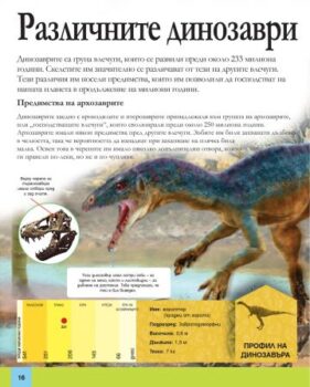 476e3591bfaa3853e1393f850a9837a3_360x0f_1