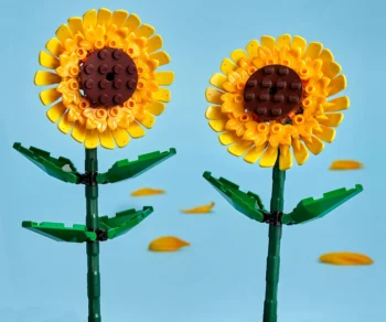 Детски комплект за игра LEGO® Iconic 40524 – Слънчогледи | Цвете | Цветя