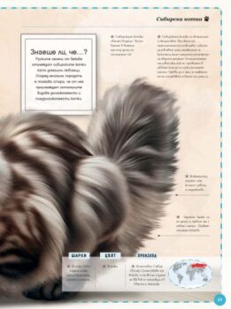 f915dd3a00e99a2a236329919141e551_360x0f_goliama_kniga_na_kotkite