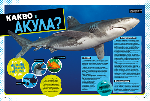 Невероятна книга за акулите Невероятна книга за акулите