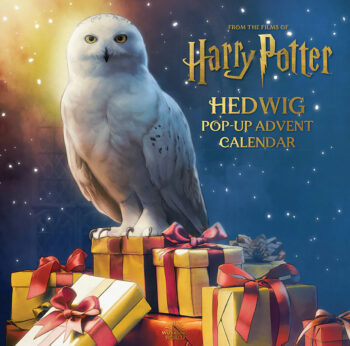 Коледен адвент календар Harry Potter с панорамен 3Д ефект