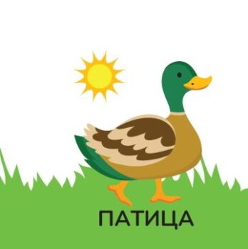 a2a94d3f2f7174d51a5652e8476fcded_360x0f_fermata_za_bania