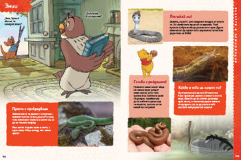 animals_dl_bg_cover_print20front1697389399-2021-jpg