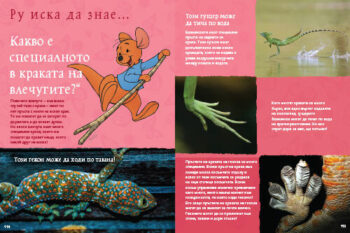 animals_dl_bg_cover_print20front1697389399-2021-jpg