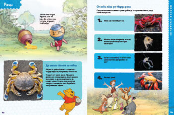 animals_dl_bg_cover_print20front1697389399-2021-jpg