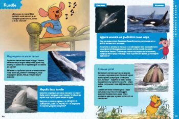 animals_dl_bg_cover_print20front1697389399-2021-jpg