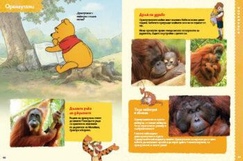 animals_dl_bg_cover_print20front1697389399-2021-jpg