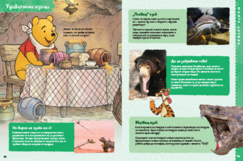 all_about_me_dl_bg_cover_print2020front1697388862-4543-jpg