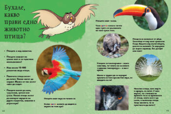animals_dl_bg_cover_print20front1697389399-2021-jpg