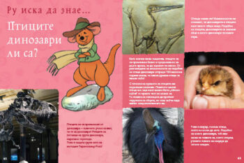 animals_dl_bg_cover_print20front1697389399-2021-jpg