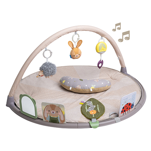 1-13395-tummy-time-play-gym-500x500-amazon-01-copy