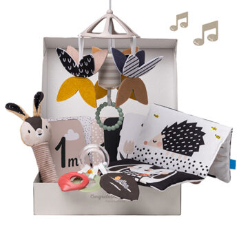 13475 Newborn Black & White Kit 2000×2000