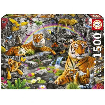 19563_01_high-scaled