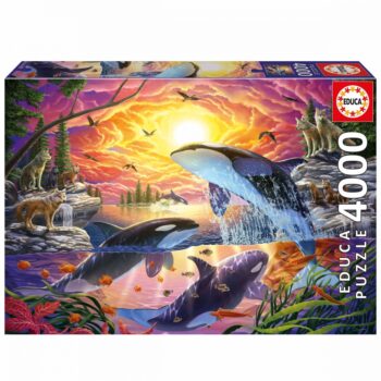 20259