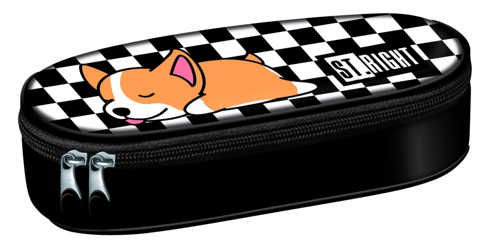 5903235664366-_pc_01-sleepy-corgi