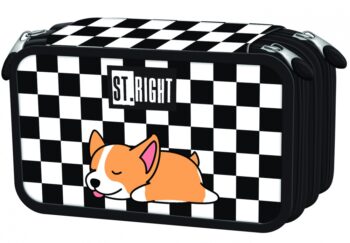 5903235691300_pc_05__sleepy_corgi