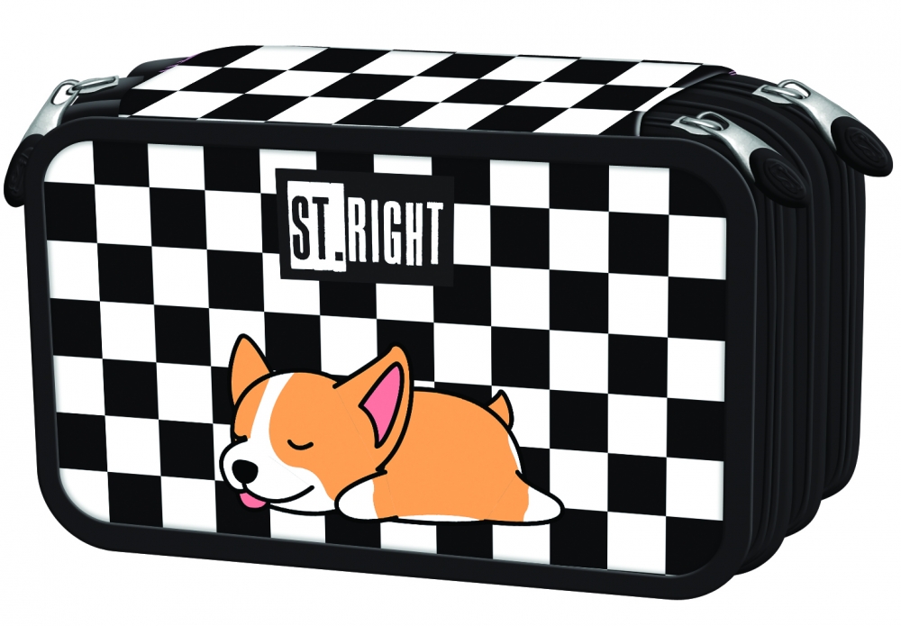 5903235691300_pc_05__sleepy_corgi